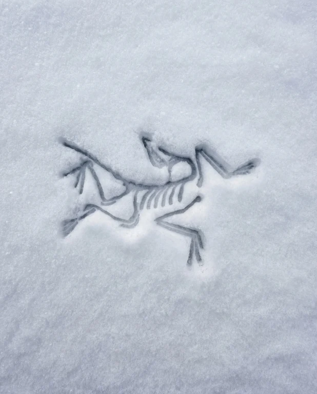 Snow Imprint — Branding demonstration. Requires rights disclaimer and a user-supplied logo slot.